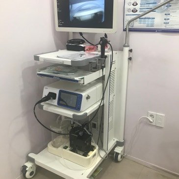 사직삼보동물병원